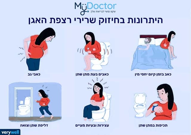Преимущества укрепления мышц тазового дна MyDoctor