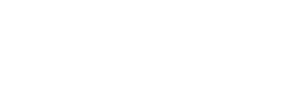 Логотип Final Белый 1024x344 1